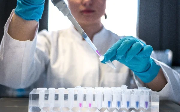 lab